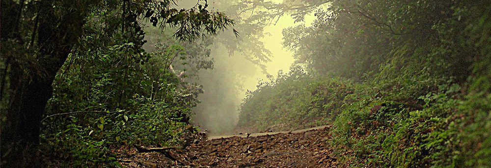Sendero del Volcán Barú.